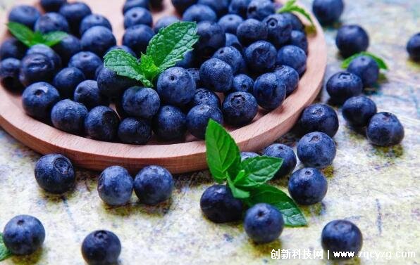 为什么蓝色的水果很少，蓝色不利于水果传播(土壤也会决定颜色)